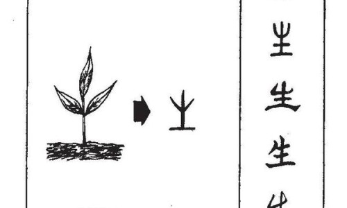 甲基多巴的用法用量-甲基多巴是什么药名、甲基多巴是什么药名 -甲基多巴价格网